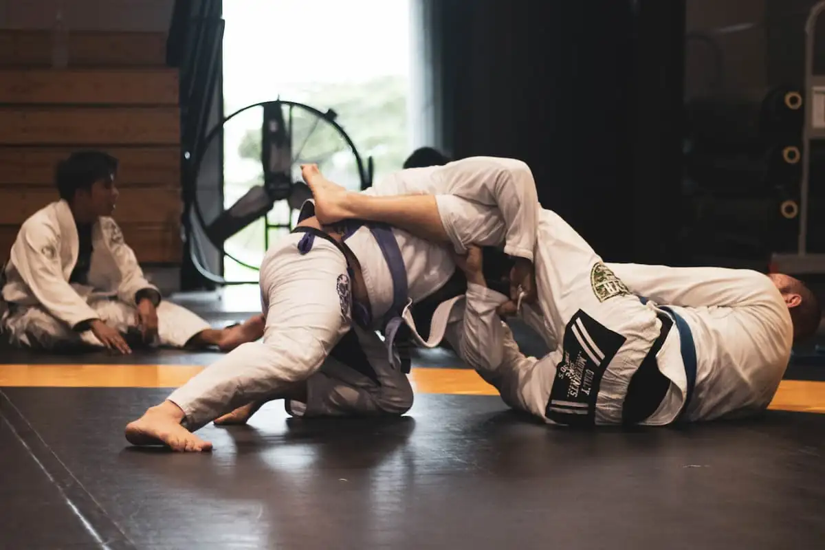 What is Brazilian Jiu Jitsu?