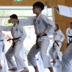 Why Martial Arts Could Be the Missing Piece in Your Fitness and Personal Development Journey